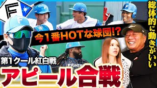 【日本ハムが熱い‼︎】第1クールのMVPは？清宮の離脱を感じさせない存在が出現！競争が激化している日本ハムキャンプの現状について語ります！