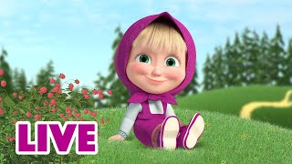 🔴 LIVE! 玛莎和熊 👱‍♀️📺 每个周日 都美好 🌟 Masha and the Bear