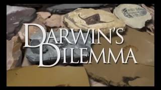 Why did the Cambrian explosion trouble Darwin?