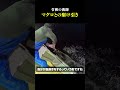 【マグロ漁師】これがプロの駆け引き