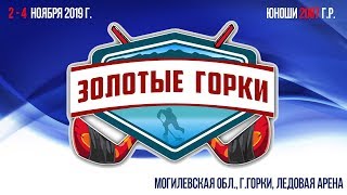 3.11.2019. 2007. Золотые Горки. Сокол-2 - СК Минск