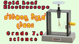 Gold Leaf Electroscope ||Science Experiment || Grade 7 Science  || puduma thksalawa