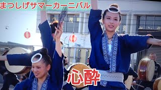 阿波踊り『心酔』さわやかな ドカドカ系！カッコいいしカワイイ！