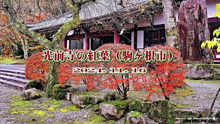 [ 2024.11.16 ]光前寺の紅葉（駒ヶ根市）