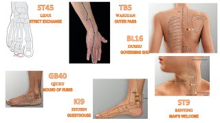 LAMP ACUPUNCTURE 17: ST45, GB40, TB5, BL16, Lung Luo-Connecting Channel, KI9, ST9