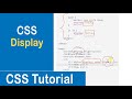 #22 CSS Display Property | Display Block | Display Inline | Display None