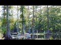 Cypress Gardens - South Carolina