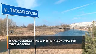 В Алексеевке привели в порядок участок Тихой Сосны