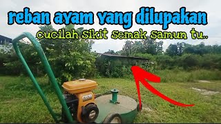 [Episod1281] reban ayam pertama di kebun abah terlalu usang.