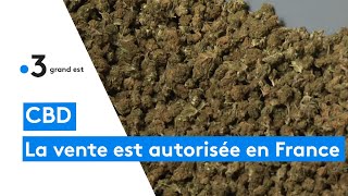 La vente de CBD finalement autorisée en France