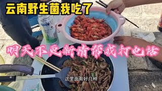 河南妹子穷游云南，第一次吃野生菌，明天不更新帮忙打电话救援