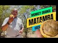 Matamba Explained: Nutritional Benefits, Cultural Value & Why It Matters Today