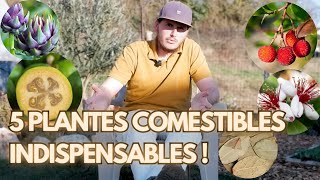 5 plantes à feuillage persistant que vous devriez cultiver (ET MANGER)