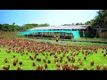 FREE-RANGE FARMING│MUD PONDS Everything you need to know! Feeding rabbits & goats ( Farm tour)