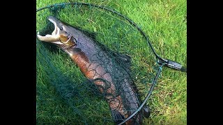 River Derg Atlantic Salmon fishing 19 Sep 2017 N. Ireland, Foyle - Mourne system