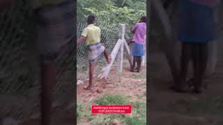 உடனடி தீர்வு மற்றும் தற்காலிக தீர்வும் தரும் கம்பிவேலி #fencing #வேலி #farm #farmdesign