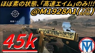 【BFV】「高速エイム」のみで「M1928A1トンプソン」プレイ！！！【プレイ動画】