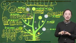 2021年一级建造师 《建设工程法规及相关知识》新教材 基础精讲班 HQ网校 王丽雪 01建设工程法律体系1