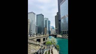 跑跳美國｜Chicago 芝加哥｜芝加哥河建築之旅米其林餐廳Purple Pig｜World Travel 環遊世界｜老莫太太的跑跳生活