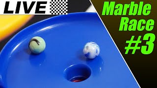 LIVE Marble Race Tournament [#3]