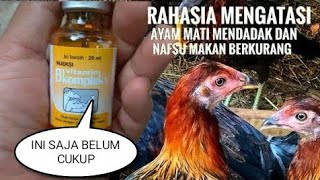 VITAMIN RAHASIA PETERNAK AYAM FILIPIN