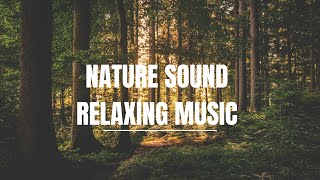 Peaceful Meditation Music and Relaxing Nature Sounds for Enhanced Serenity