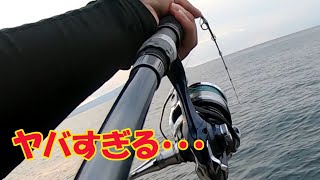 やべぇの掛かって何もできねぇ・・・ 【青物釣行】