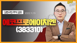 에코프로에이치엔(383310)_김현구 전문가_종목 상담 (20221119)