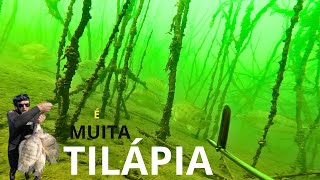 É MUITA TILÁPIA  !!! / PESCA SUB.