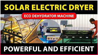 Solar Electric Dryer for Fruits and Vegetables | Eco dehydrator Machine