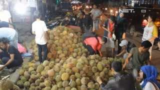Download Lagu NET24 Asiknya menikmati durian Sidikalang di Medan... MP3 Gratis