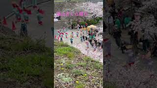 津山城さくら祭り