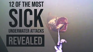 12 SICK and UNIQUE UNDERWATER ATTACKS OF PREDATORY FISH \u0026 THEIR BEHAVIOUR REVEALED!