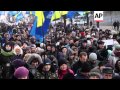 Supporters of President Yanukovych hold rally in central Kiev