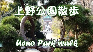 上野公園散歩 Ueno Park walk 2023.12.20〖4K〗