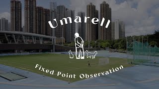 Umarell Hong Kong | 定點觀察香港 | Vol.8 | 將軍澳運動場 | 4K