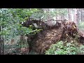 太閤道から若山神社へ！