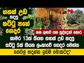 ගහක් උඩ තට්ටු 5හේ ගෙයක් හදපු ලංකාවේ වැඩ්ඩා | Tree House - Sri Lanka