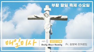 22/04/20 다볼사이버성당 미사 : 부활 팔일 축제 수요일