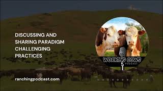 Ep. 025 – Kit Pharo – Profit Per Acre | Working Cows