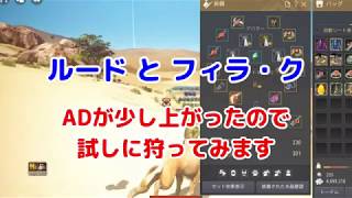 【黒い砂漠PC】Lv49がルードやフィラ・クへ行くとこんな感じ＋おまけ