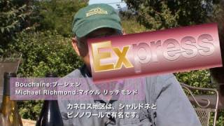 Express Bouchaine：トニー森カリフォルニアワインの旅