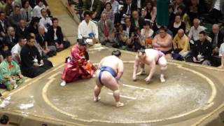 Ozeki Kotoshogiku (3-1) - Takarafuji (1-3) , Sumo : Natsubasho '16