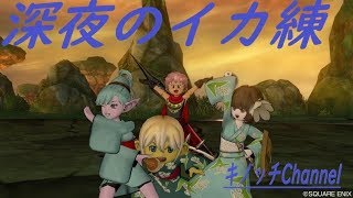 【ドラクエ１０】人のこともだけど自分のことも　イカ練とその他調整　9/13