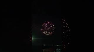 花火🎇🎆たまやー