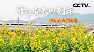 开往春天的列车！贵广高铁列车穿越花海邂逅最美春天 | CCTV