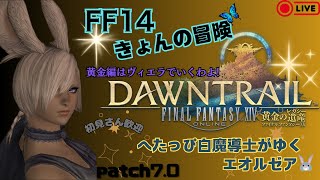 [FF14ライブ配信]   　完全初見！黄金のレガシーまったりとストーリー進めます☆彡　お気軽にコメントしてね！　★初見さん歓迎★　patch7.0   [PC版]    vol.25