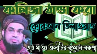 কোরআন তিলাওয়াত। হাঃ মাওঃ ওলীউর রহমান পীর সাহেব বরুণা। Quran Tilawat By Hafez Oliur Rahman Boruna।