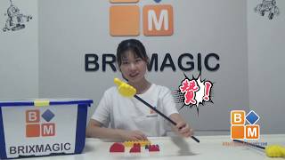 STEM教育 LEGO乐高 Bricks 创意思维课creative  动物王国之旅 Animal kingdom 蜗牛 Snail 搭建及知识点讲解