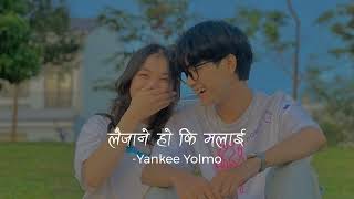Laijane Ho Ki Malai Lyrics || Yankee Yolmo || Ridam Official